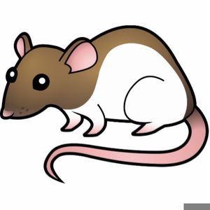 300x300 Rats Clipart Free Free Images