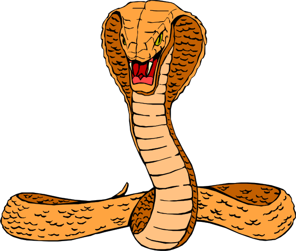 600x509 Orange Cobra Clip Art