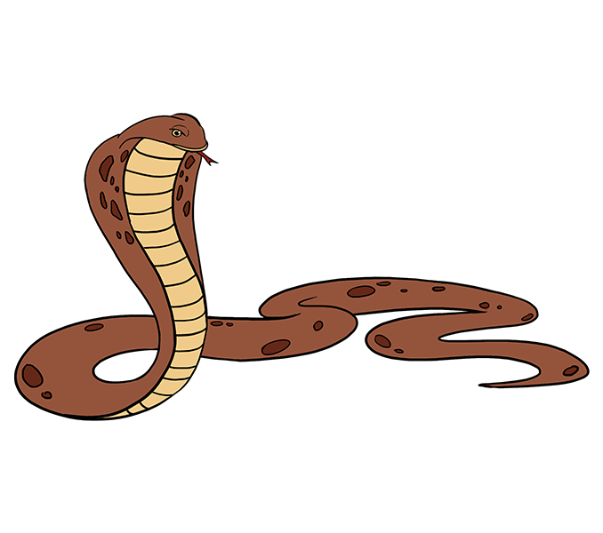 678x600 Rattlesnake Clipart Simple Snake
