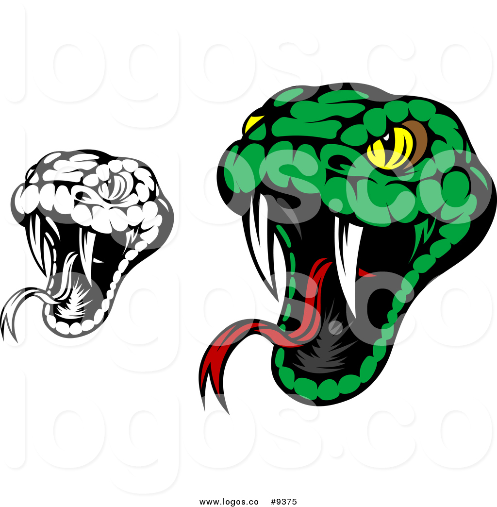 1024x1044 Rattlesnake Head Clip Art. Boaschlange Zum Ausmalen Zum Ausmalen