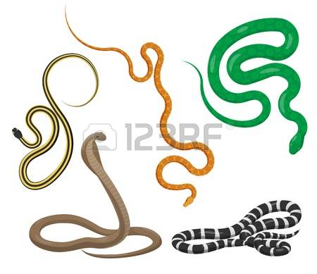 450x389 Rattlesnake Clipart Slither
