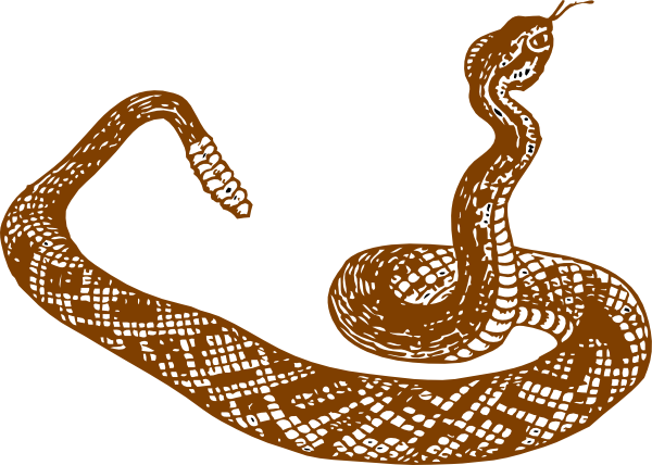 600x428 Snake Reading Cliparts