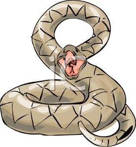 277x300 Venomous Clipart