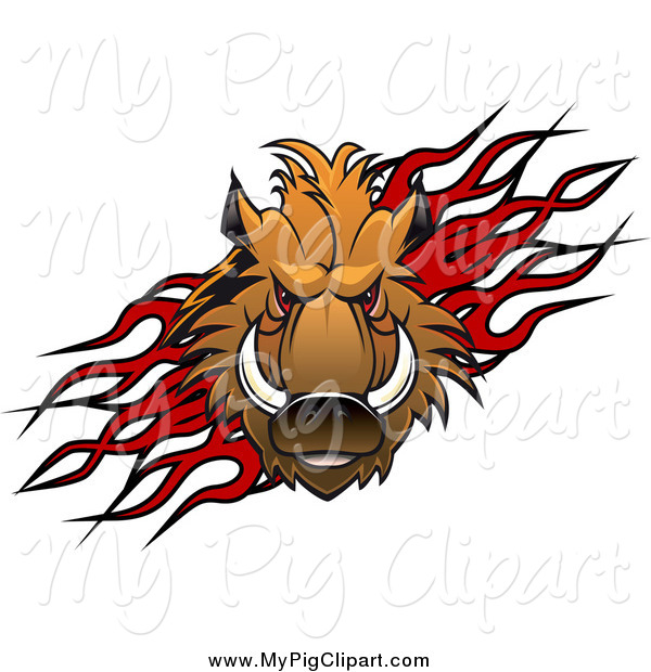 600x620 Swine Clipart Of A Razorback Boar Pig Over Flames By Vector