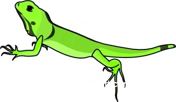 350x204 Iguana Clipart Rc