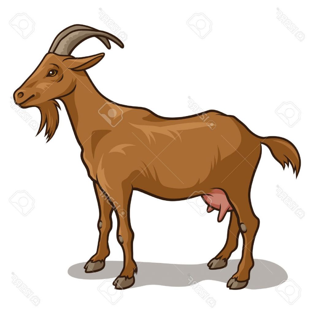 1024x1024 Real Goat Clipart