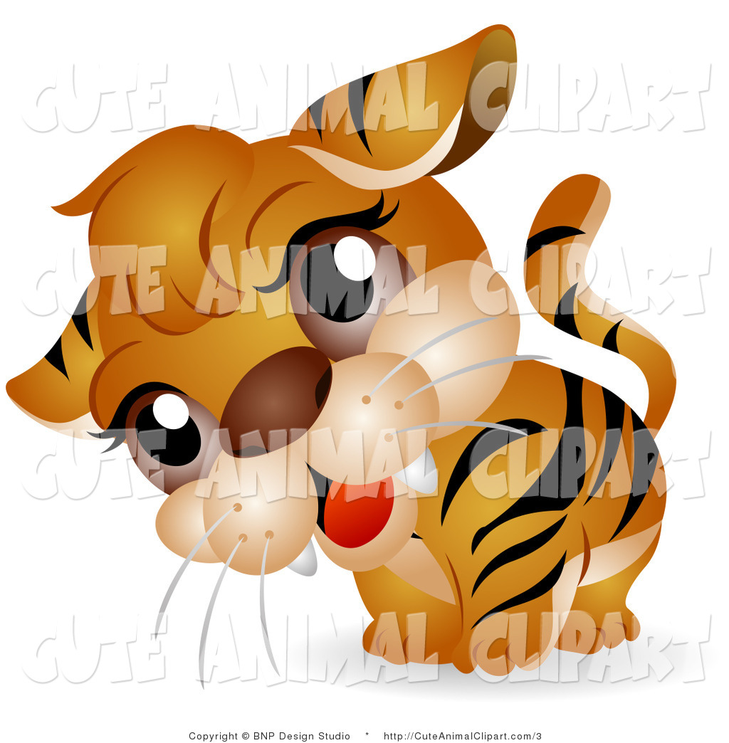 1024x1044 Real Tiger Face Clip Art