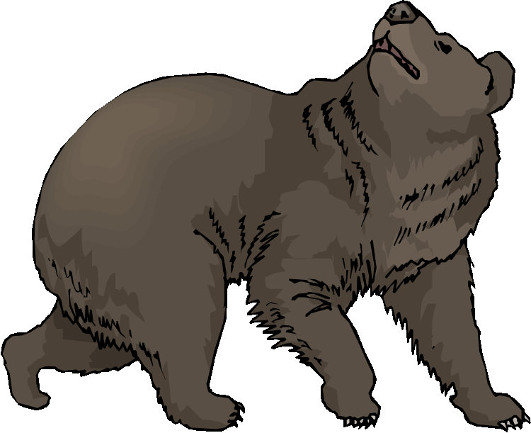 750x611 Top 84 Bear Clip Art