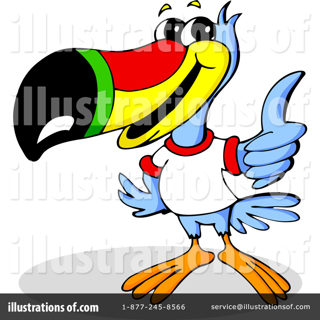 1024x1024 Toucan Clipart Real Animal