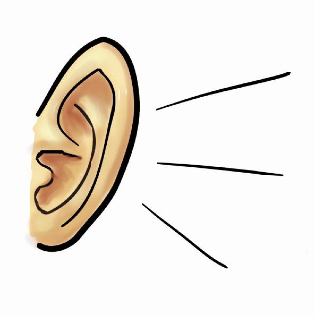 1024x1024 Ear Clip Art Real Clipartd Vector Graphics Pleasing