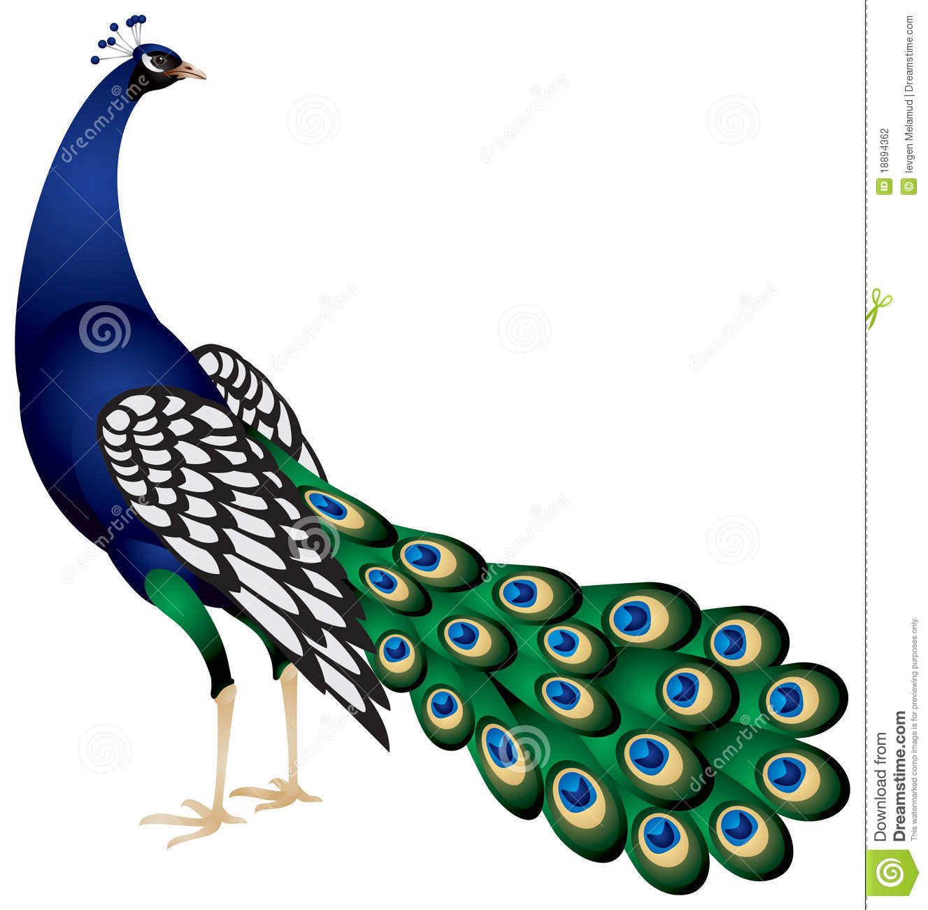 1327x1300 Peacock Clip Art Amp Peacock Clipart Images