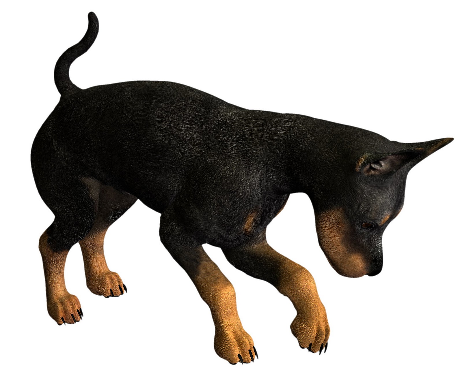 1600x1304 Free High Resolution Graphics And Clip Art Free Png Graphics