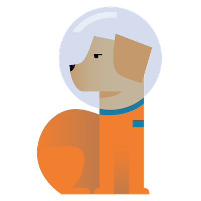 400x400 Spacedog.xyz