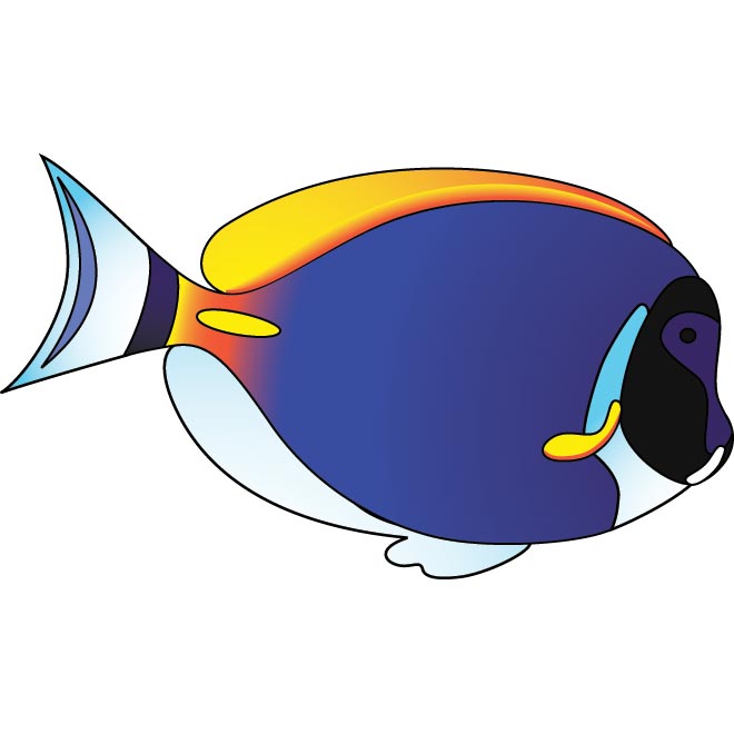 660x660 Cute Blue Fish Clipart