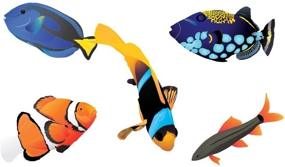 586x343 Fish Free Vector Download (1,027 Free Vector) For Commercial Use
