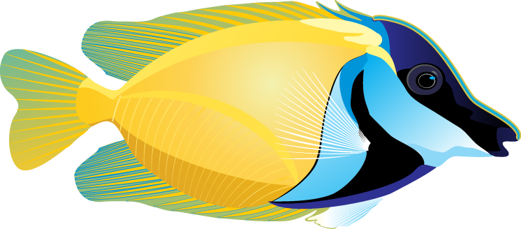 746x328 Realistic Fish Clipart