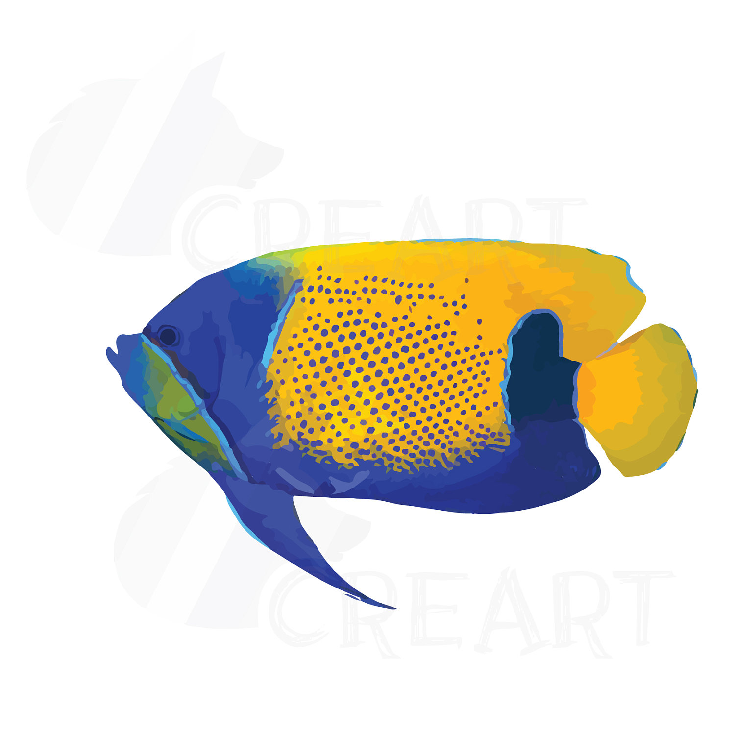 1500x1500 Watecolor Tropical Fish Clip Art, 12 Tropical Fish Vectors