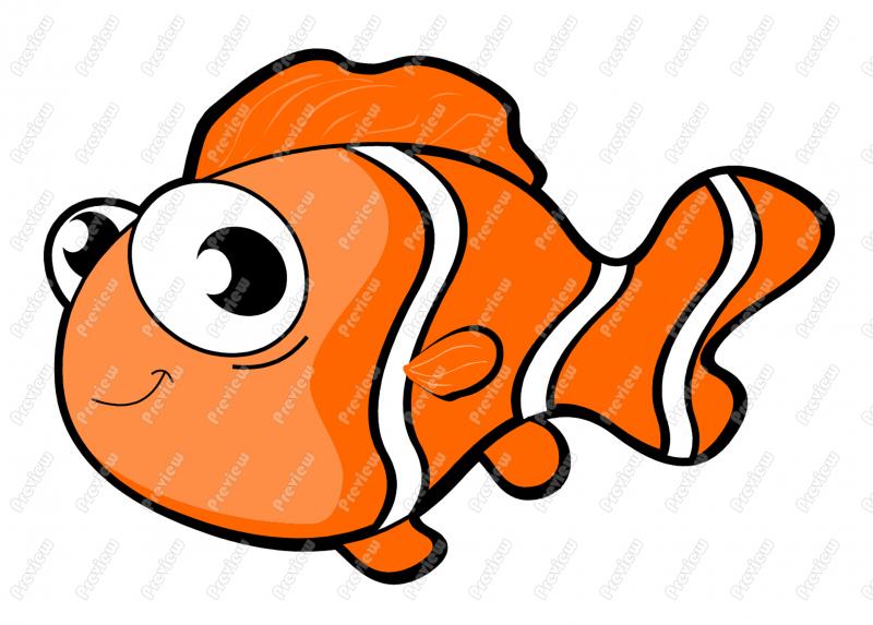 800x573 Clownfish Clipart Fish Body