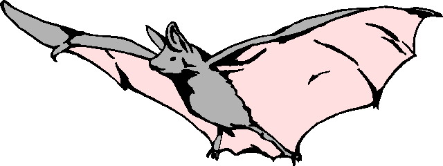 640x240 Bat Clipart