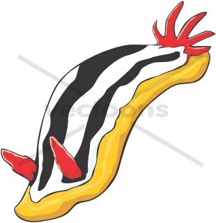 310x320 Realistic Nudibranch