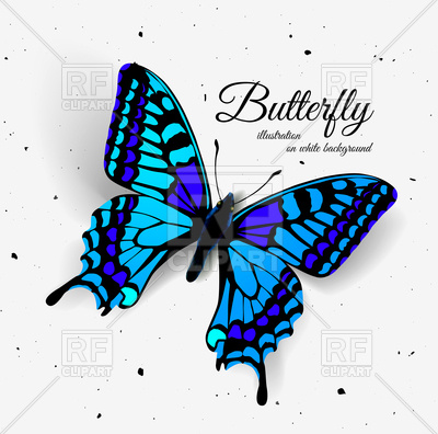 400x396 Realistic Butterfly Illustration Of A Top View Royalty Free Vector