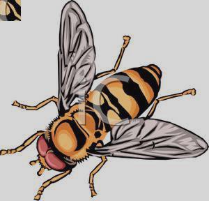 300x288 Free Realistic Clip Art