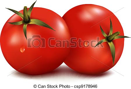 450x308 Tomatoes Isolated On White Background. Photo Realistic Clip Art