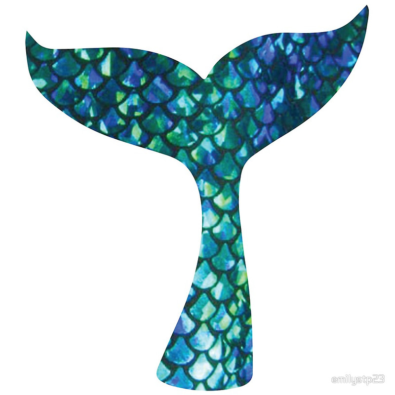 800x800 Wondrous Mermaid Tail Clipart Realistic 35 In Free