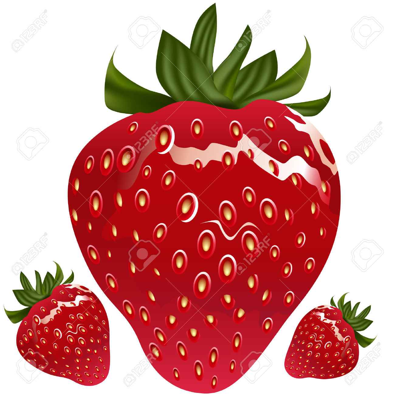 1300x1300 Clip Art Realistic Clip Art