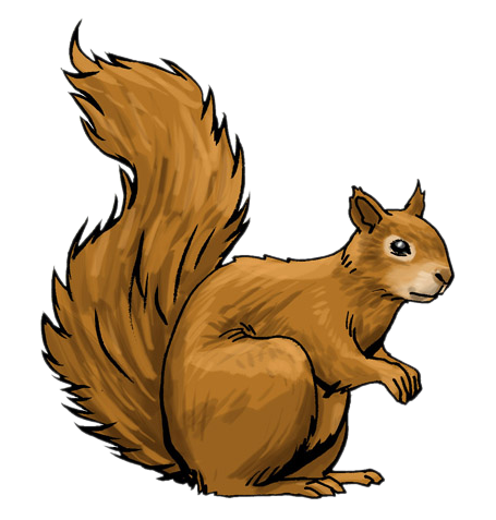 455x477 Top 80 Squirrel Clip Art