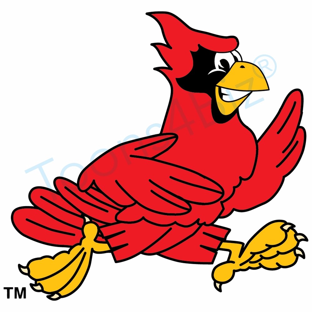 1000x1000 Funny Cardinal Cliparts Free Download Clip Art