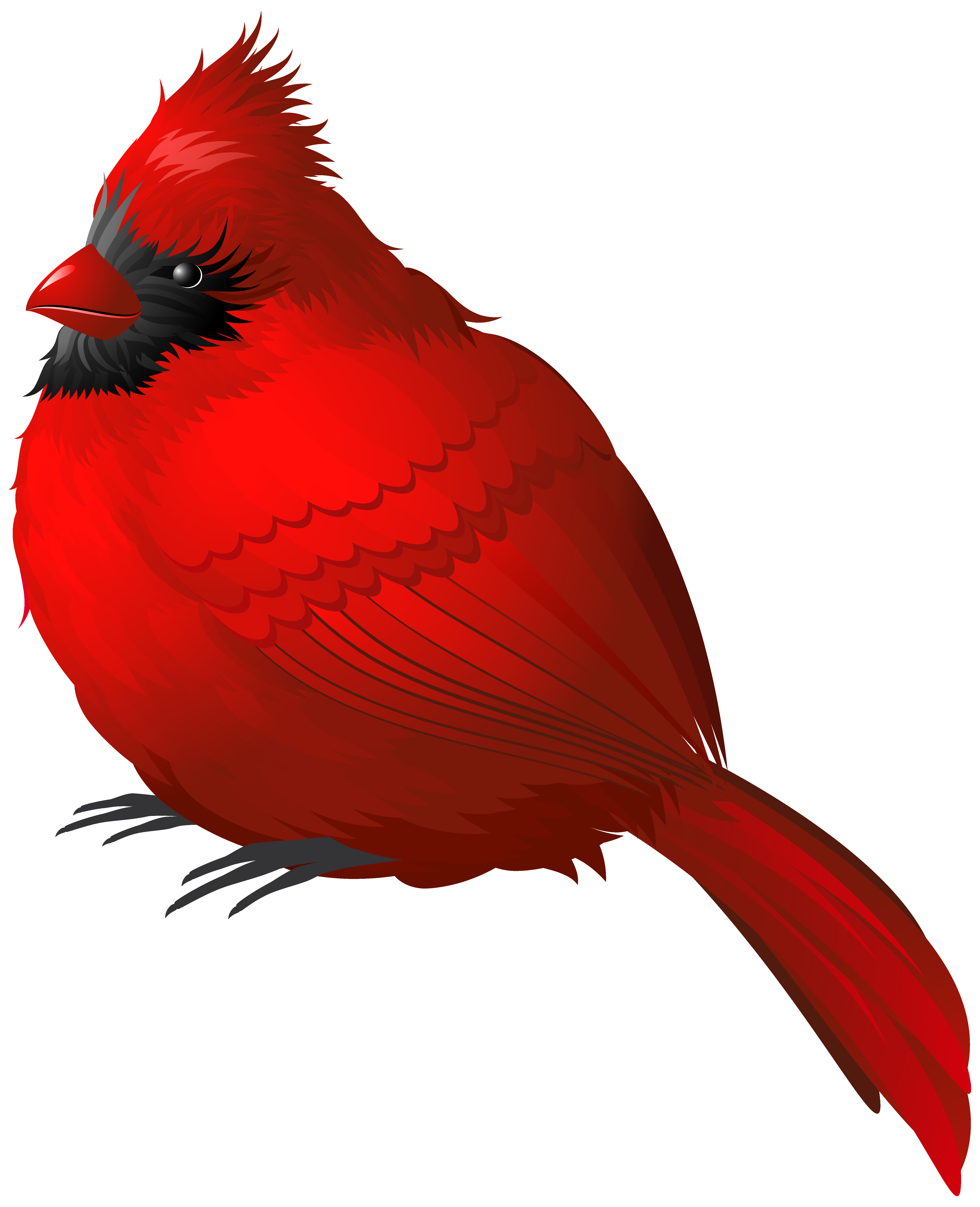 4925x6068 Red Winter Bird Png Clipart Imageu200b Gallery Yopriceville