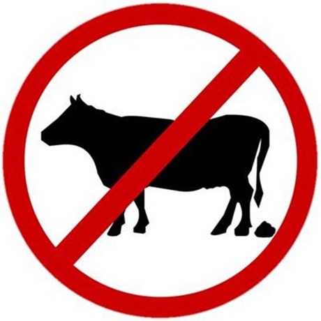 460x460 Bull Clipart Poop