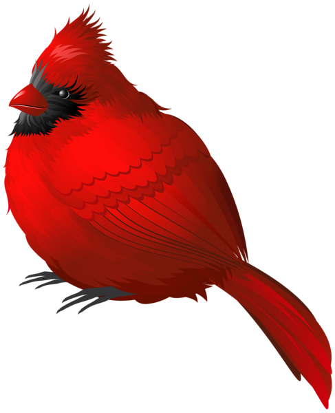 487x600 Clip Art Cardinal Red Bird