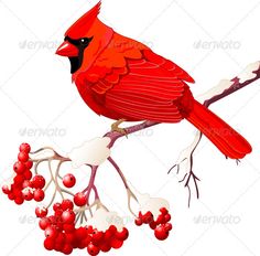 236x232 Clip Art Illustration Of A Red Cardinal Bird Sitting On A Branch