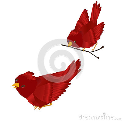 400x398 Cardinal Clipart