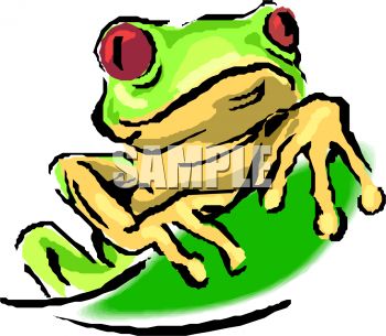 350x305 Royalty Free Clipart Image Little Red Eyed Tree Frog Peaking Over