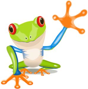 297x300 Royalty Free Red Eye Rainforest Tree Frog Clipart Image, Picture