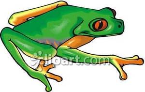 300x190 Tree Frog Imagery Clipart
