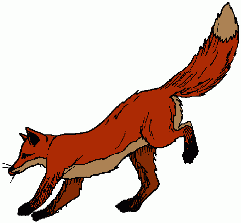 484x448 Simple Fox Clipart Free 61