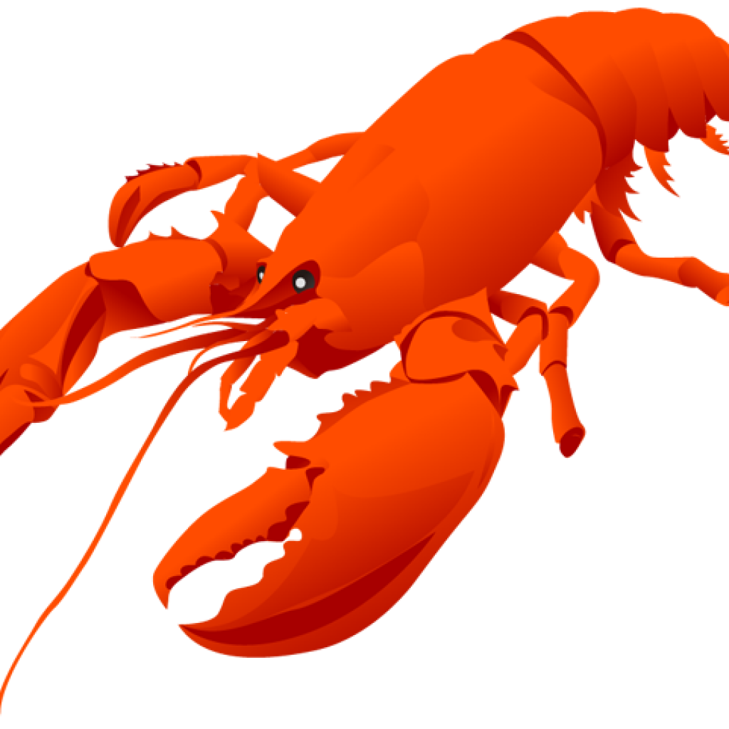 1024x1024 Lobster Clipart Free Clipart