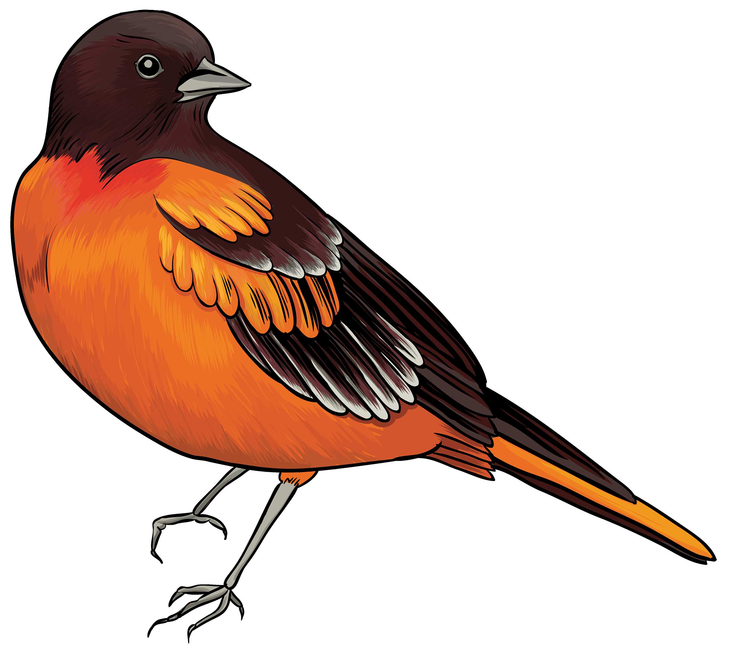 2500x2241 Bird Clip Art
