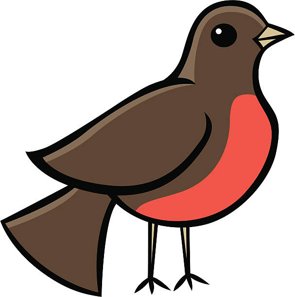 607x612 Collection Of Red Robin Clipart High Quality, Free Cliparts
