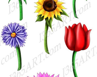 340x270 Lotus Clipart Etsy