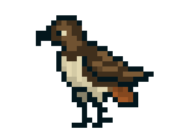 330x270 Red Tailed Hawk Pixel Art Maker