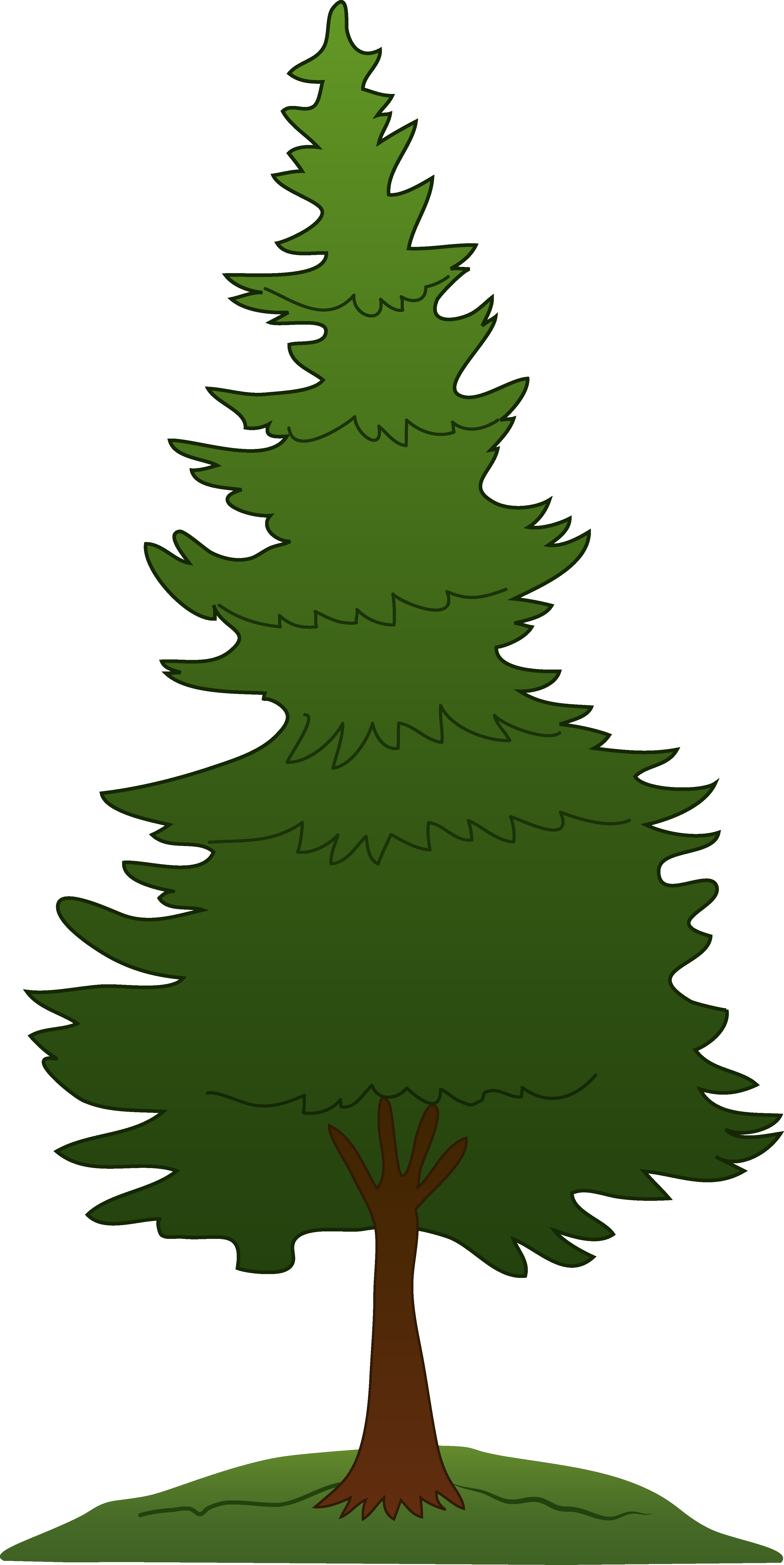 3256x6498 Gallery Pine Tree Line Art,