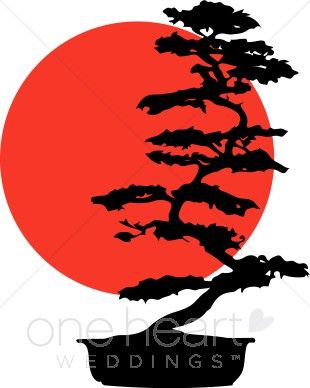 310x388 27 Best Bonsai
