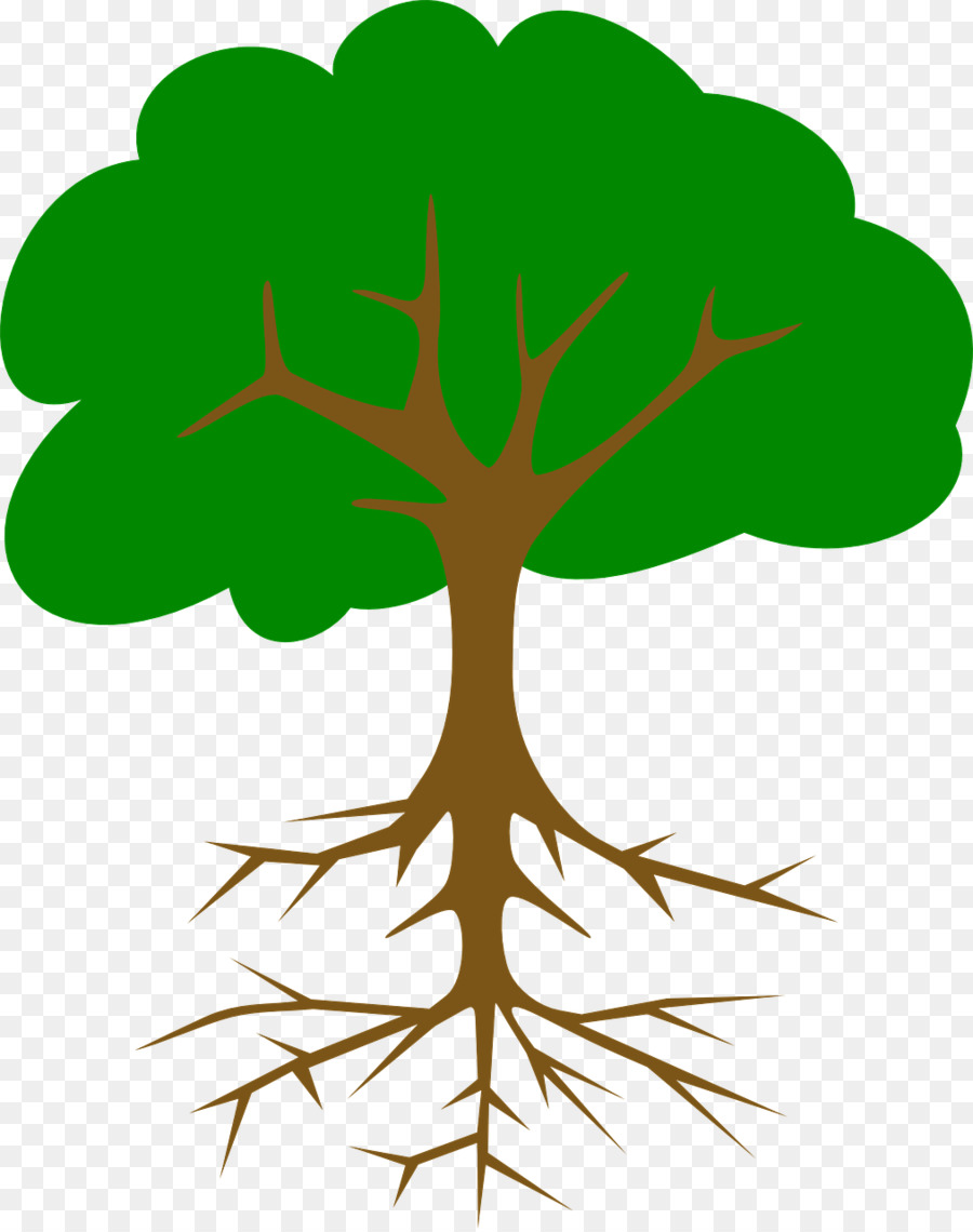 900x1140 Tree Clip Art