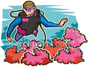 300x225 A Man Scuba Diving By Pink Coral