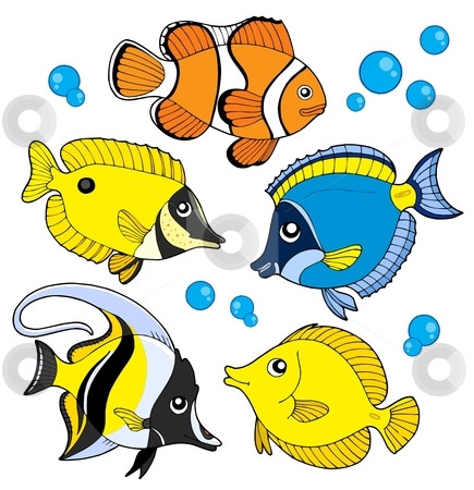 435x450 Elegant Star Fish Clip Art Coral Reef Fish Clipart Meme